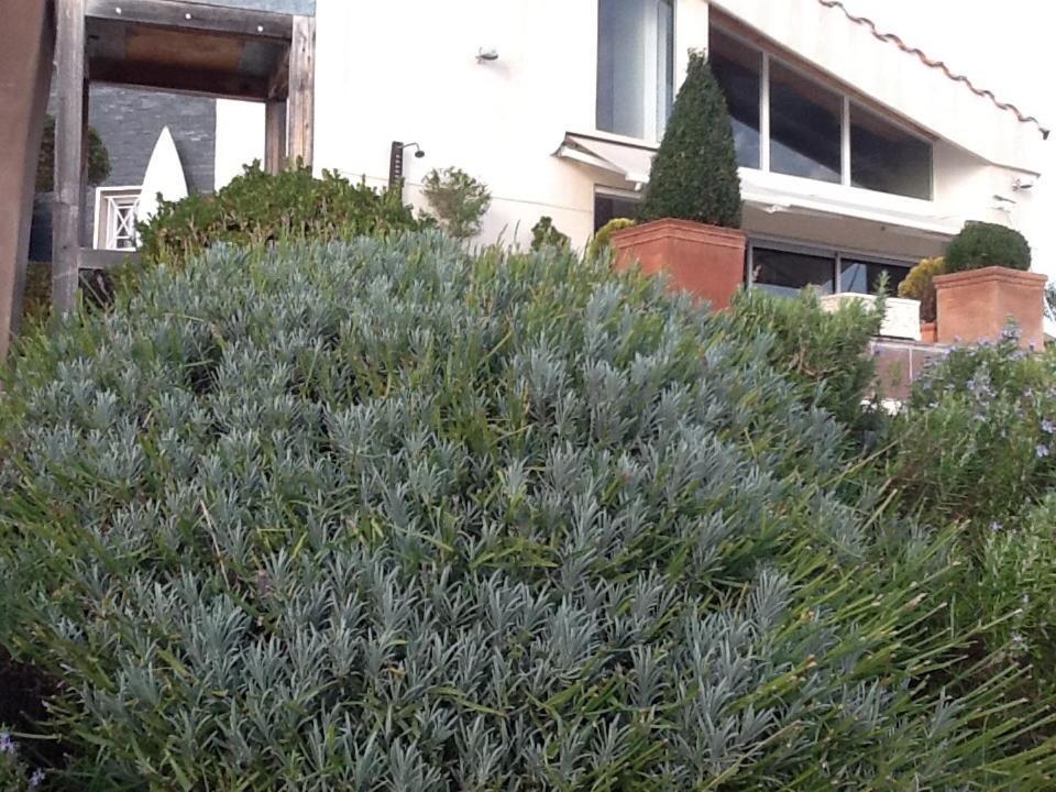 La Villa Blanche Marselha Quarto foto
